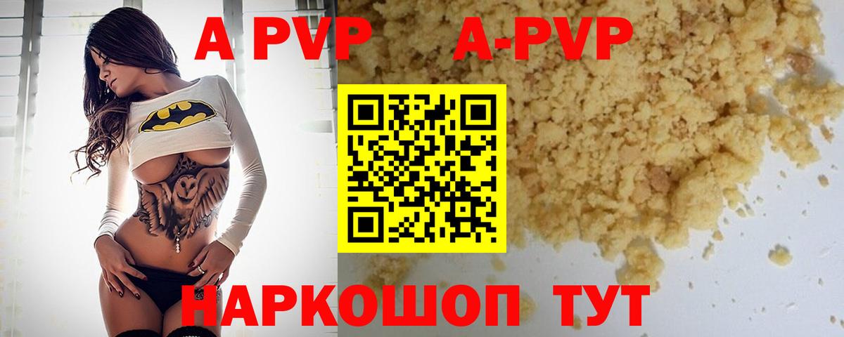 Альфа ПВП СК КРИС Хасавюрт