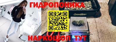 дживик Новокубанск