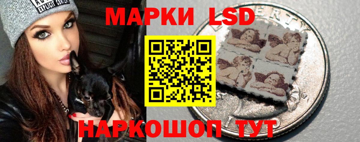 ЛСД экстази кислота  Вход с VPN  Лсд 25 экстази кислота  Хасавюрт 